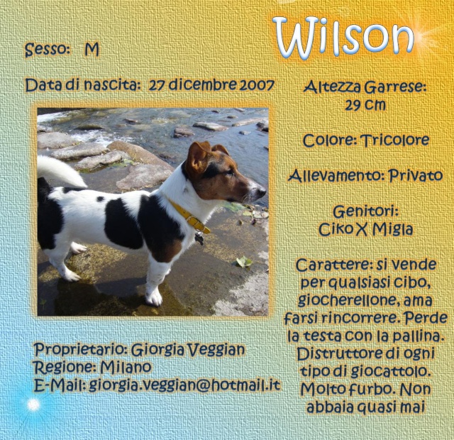 russell - SCHEDE DEI NOSTRI JACK RUSSELL 4 Wilson10