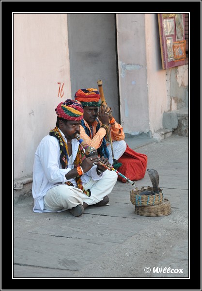 Inde - Octobre 2010 Yd0_8431