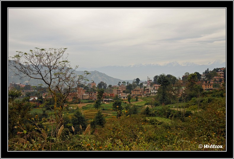 Népal - Novembre 2010 Yd1_0528