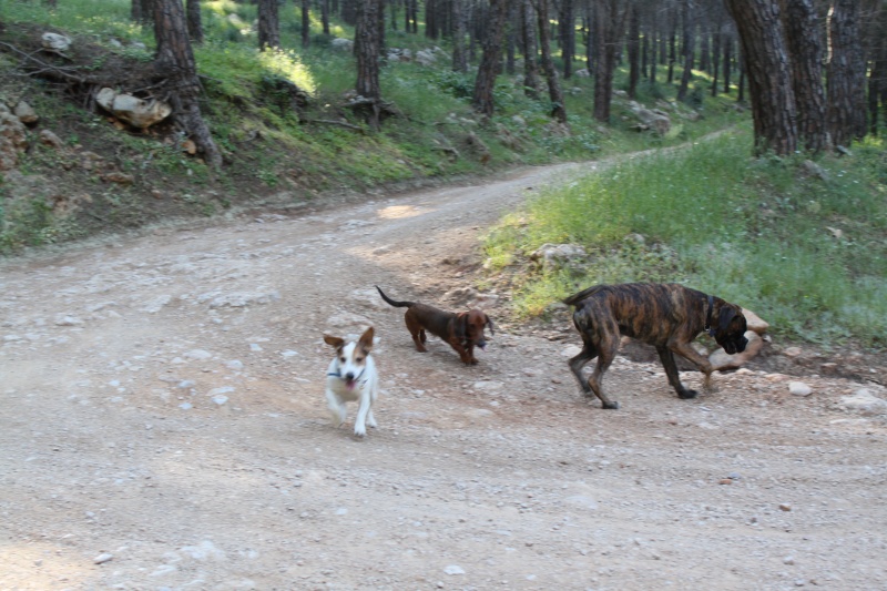 Domenica in montagna Varie_13