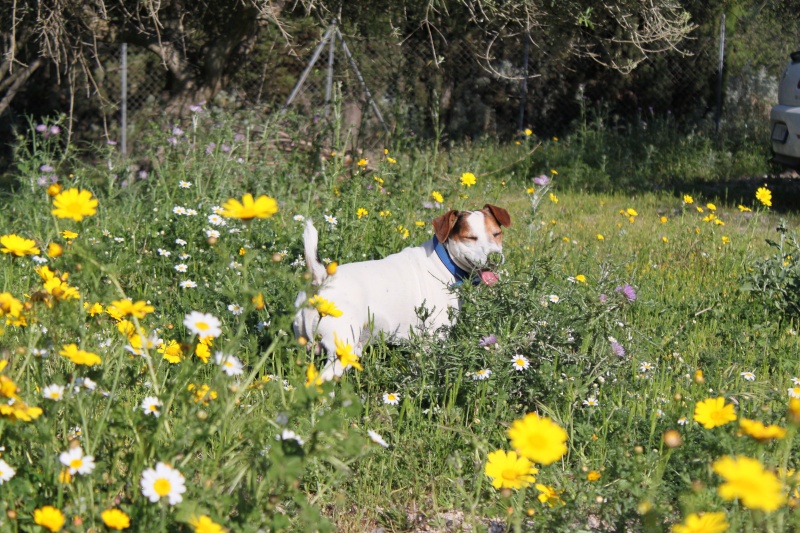 Domenica in montagna Varie_24