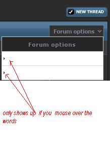 Help with  Forum options box Untitl18