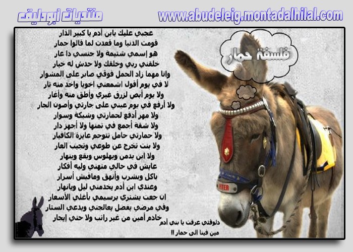 صور طريفة وغريبة (2) Funny214