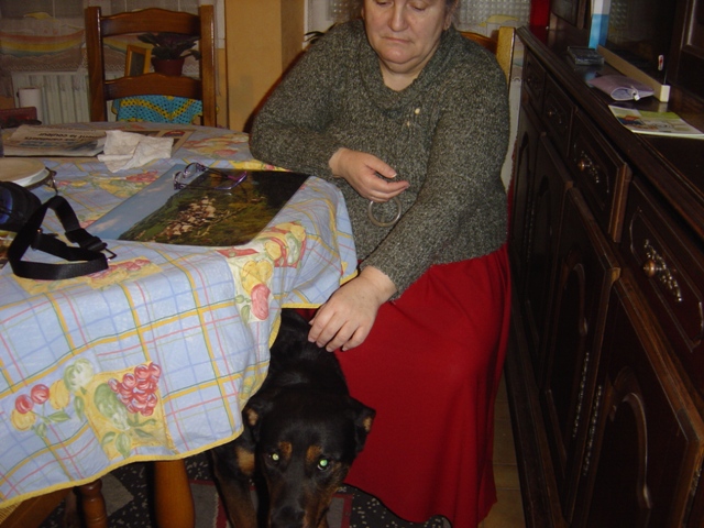 extreme urgence pour roxanne croiser beaucerons de 15 mois (28) Dsc03810