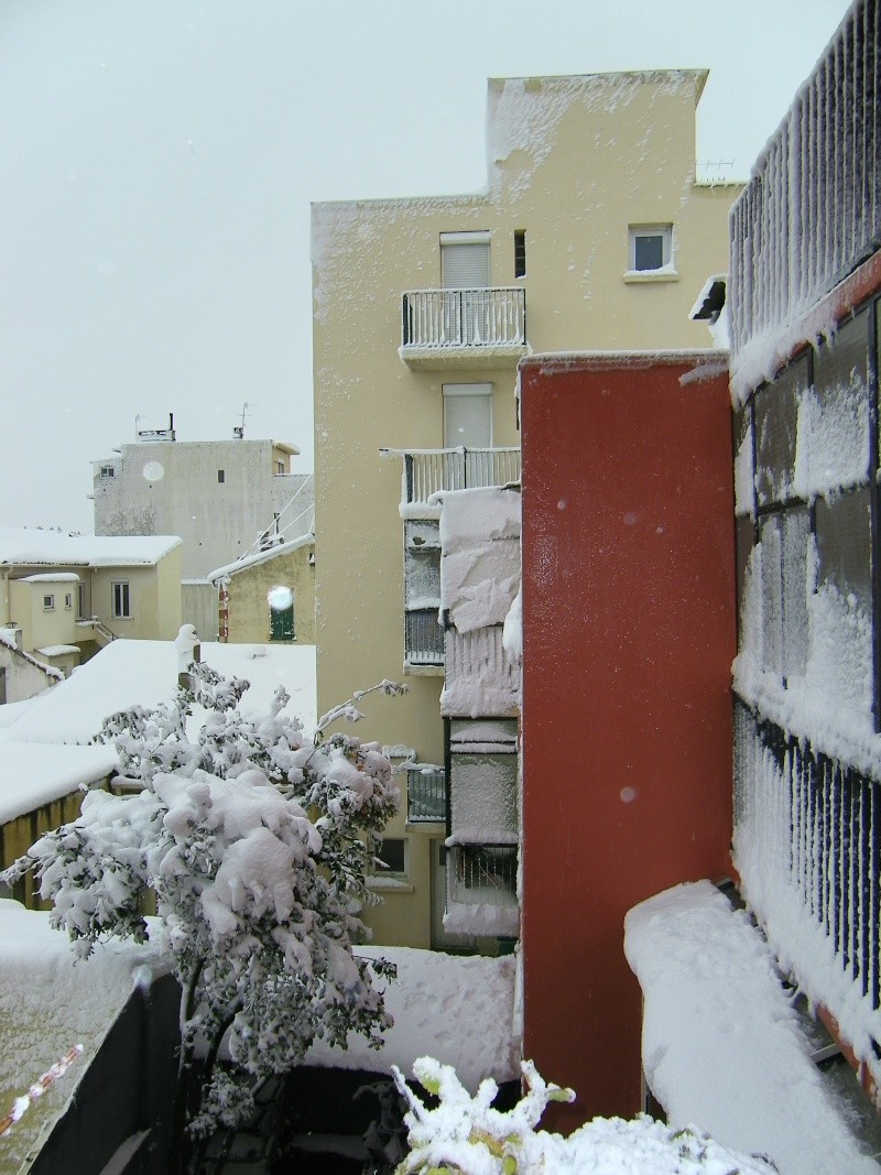 Perpignan sous la neige... 101_0217