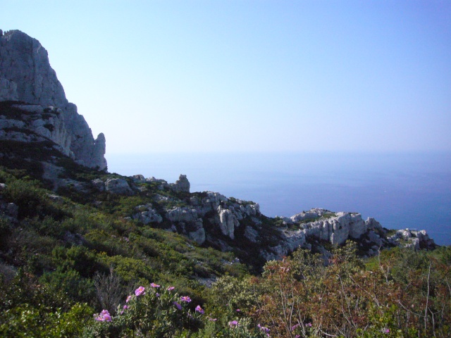 les Calanques entre Marseille et Cassis P1050419