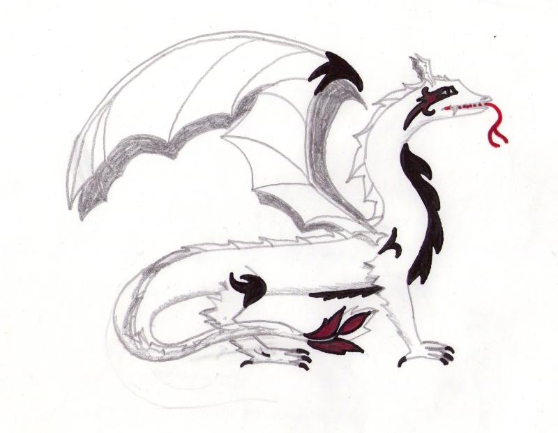 Quelques unes de mes oeuvres pour commencer. . . Dragon11