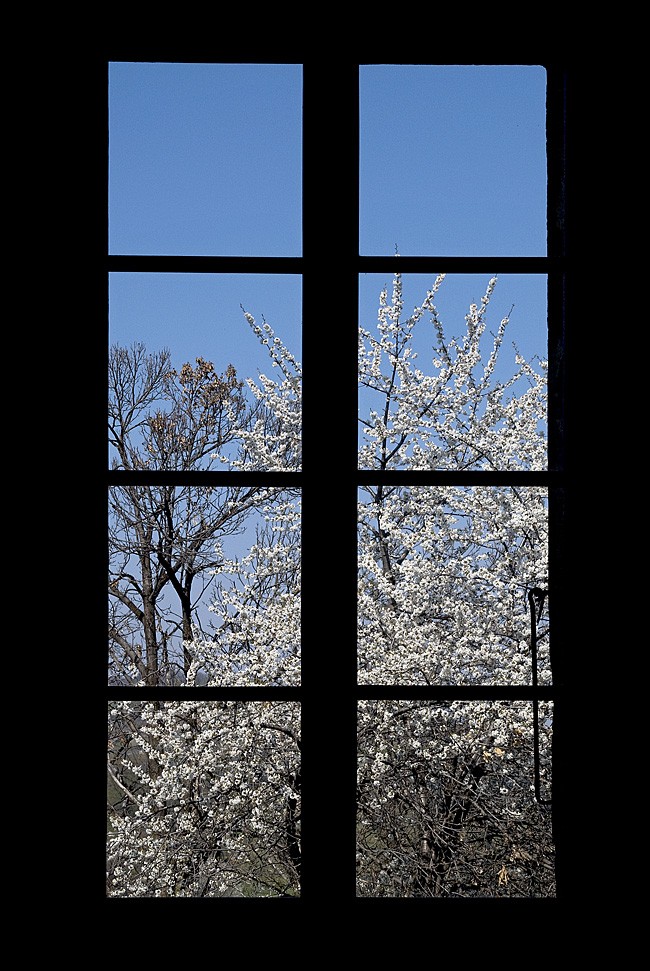 La finestra sul giardino La_fin10