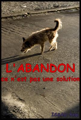 TOUJOURS CONTRE L'ABANDON 73573110