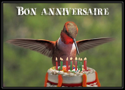 Joyeux anniversaire Pongo Bon-an10