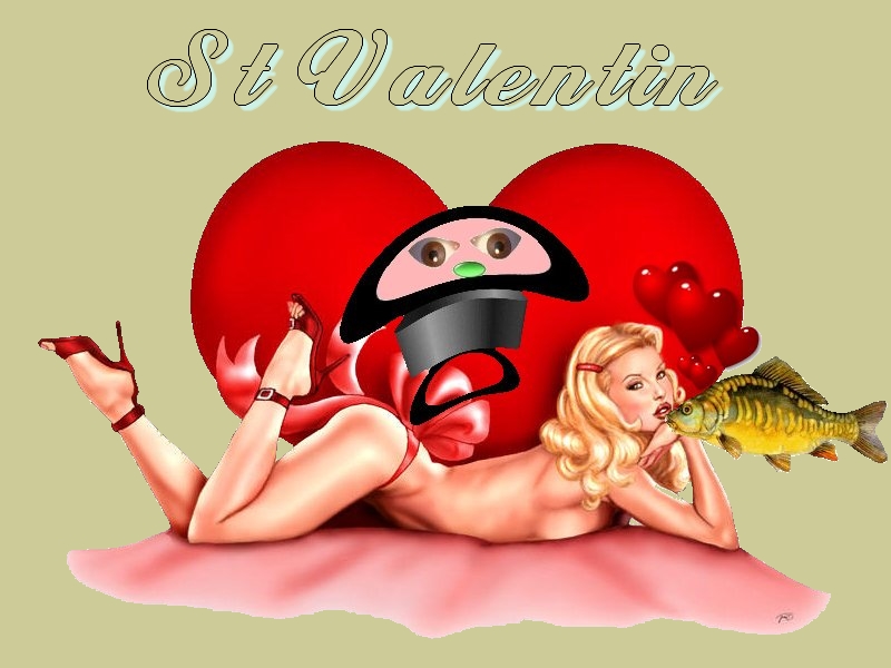 Demain la Saint Valentin. St_val11