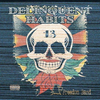 Delinquent Habits Delinq13