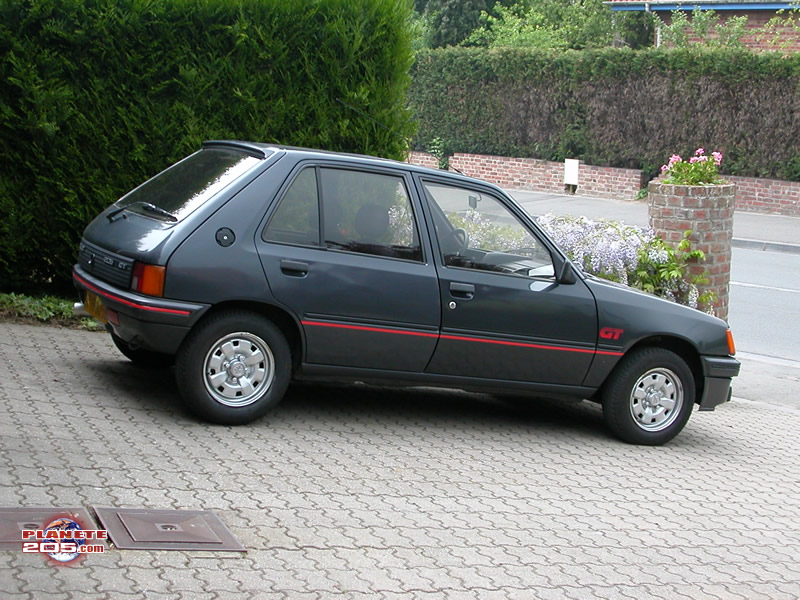 205 (GTI)...(1983-1999)... Gt310