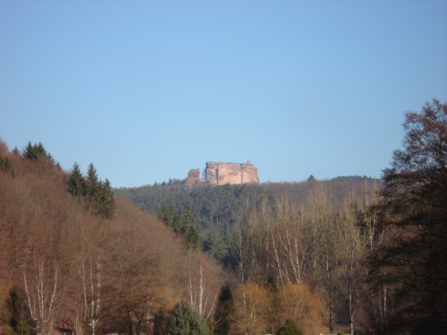 Chateaux forts des Vosges du Nord Dsc02437