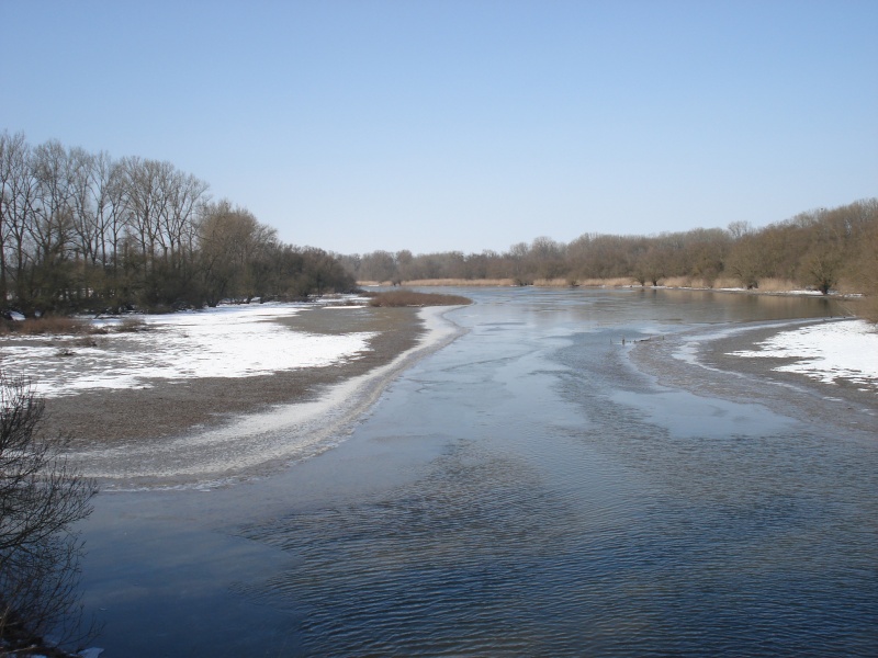 Marre de l'hiver......on se lance !! Dsc04646