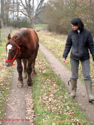 UMBRELLA - Trait breton née en 2008 - adoptée en janvier 2009 par Sophie - Page 6 Prom_210