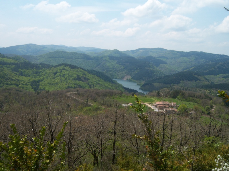 Rando à Ceilhes et Rocozels - L'antenne relais et la forêt des Monts d'Orb (03/05/09) Photo133