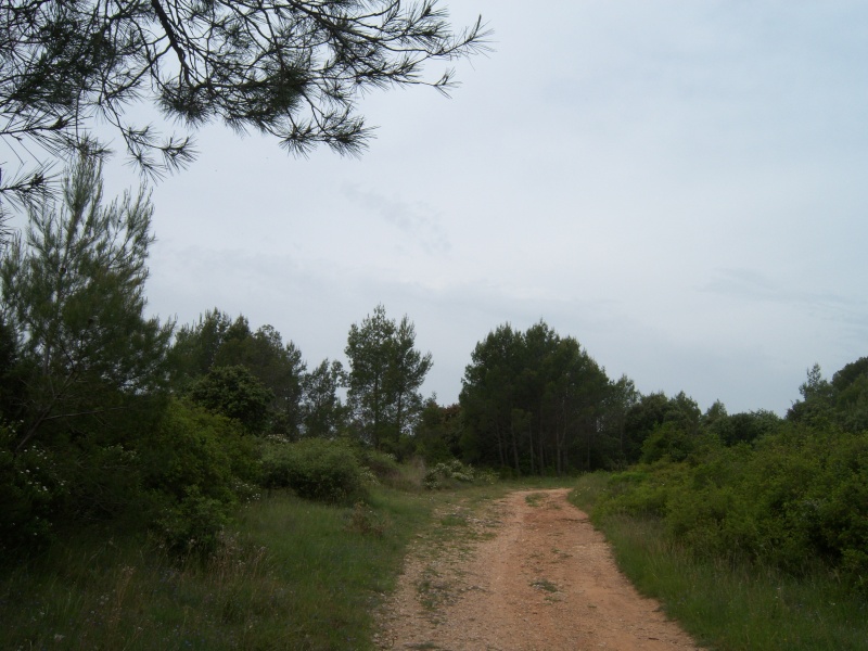 Rando VTT - Les monotraces de Castries (21/05/09) Photo149