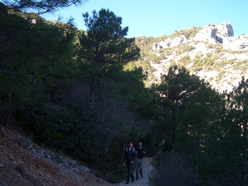 Rando à Saint Guilhem le Désert - le cirque de l'infernet (05/03/10) Photo267