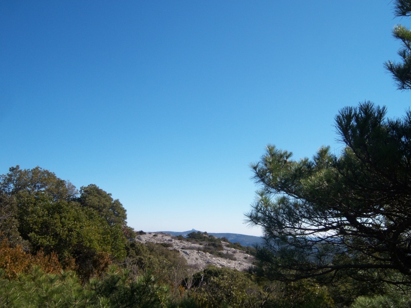 Rando à Saint Guilhem le Désert - le cirque de l'infernet (05/03/10) Photo269