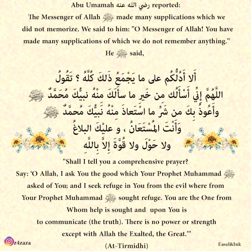 Duas from the Sunnah - Page 6 Dua-1411