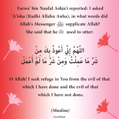 Duas from the Sunnah - Page 5 Dua-wh10