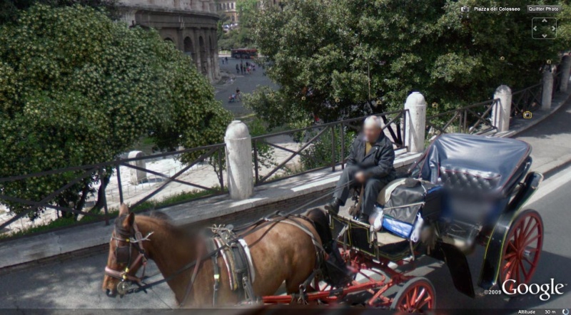 STREET VIEW : les tractions hippomobiles Cheval11