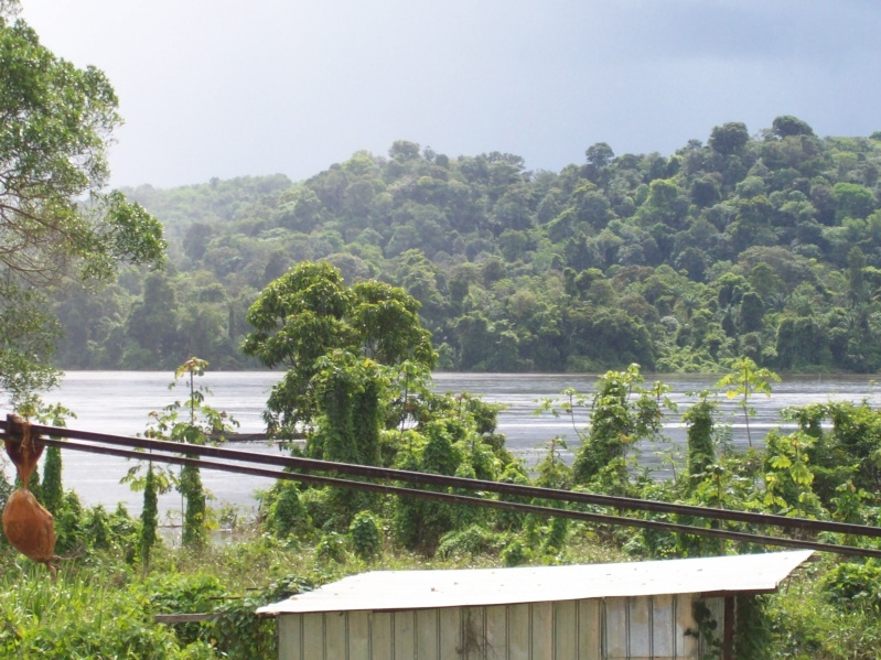 photos de guyane  (plus ou moins en vrac !) - Page 3 100_0619