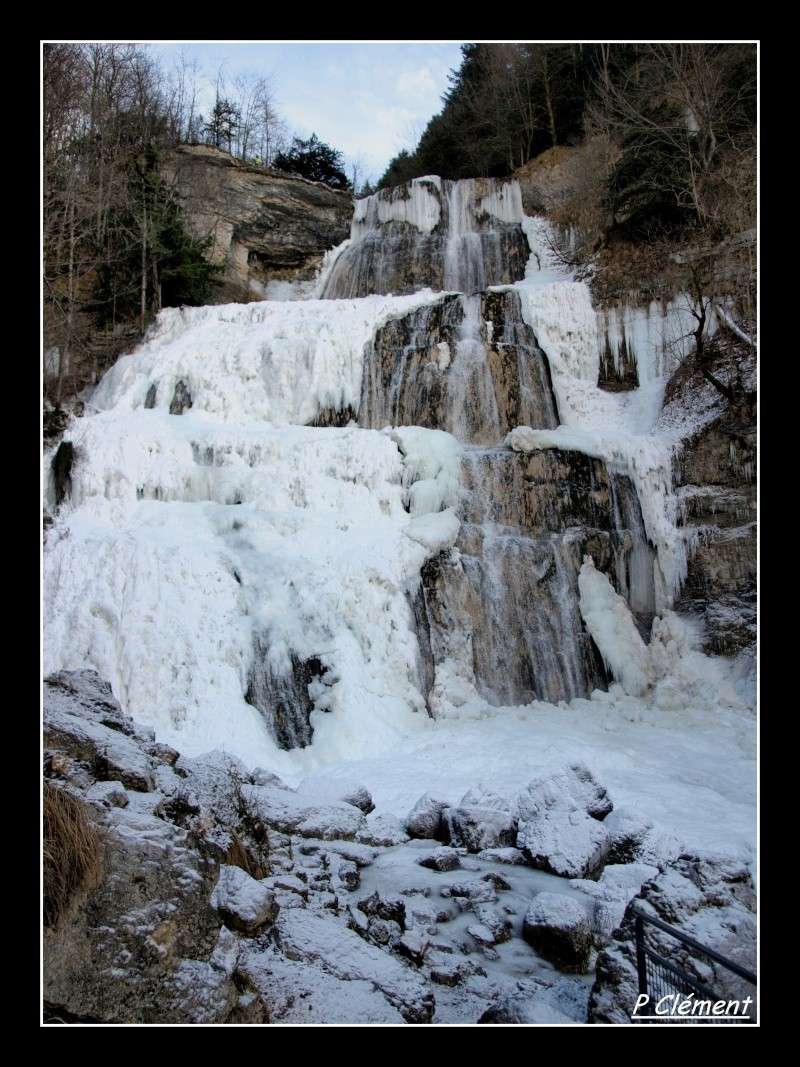 Hiver froid P1163813