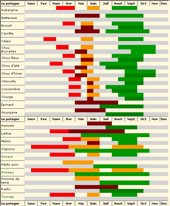 Calendrier Annuel des semis de légumes