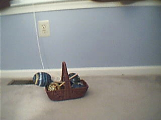 Pictures of things around your house. Maraca10