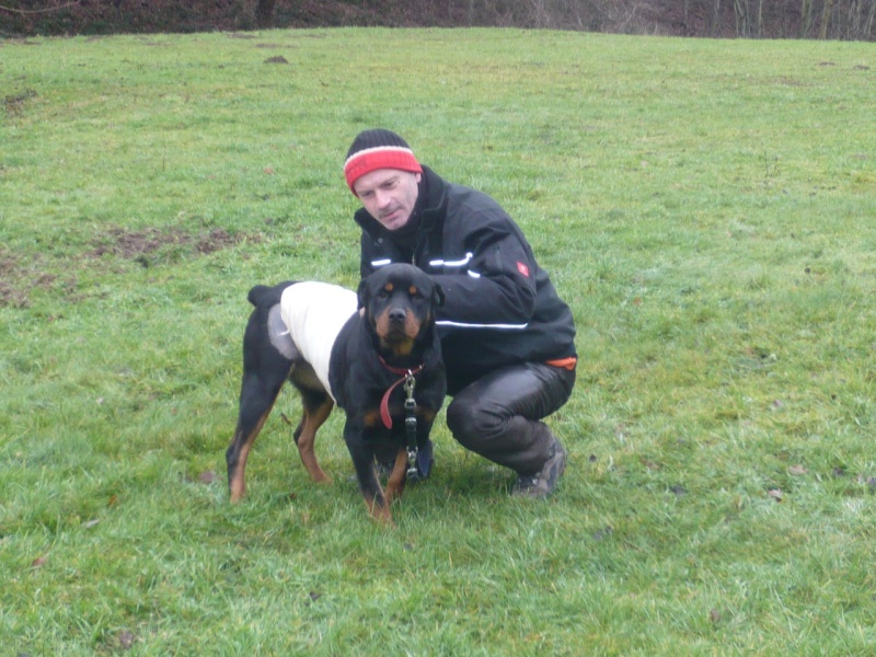 L'épopée de Rocky et Aaron 2 rototos partis en Allemagne  P1050013