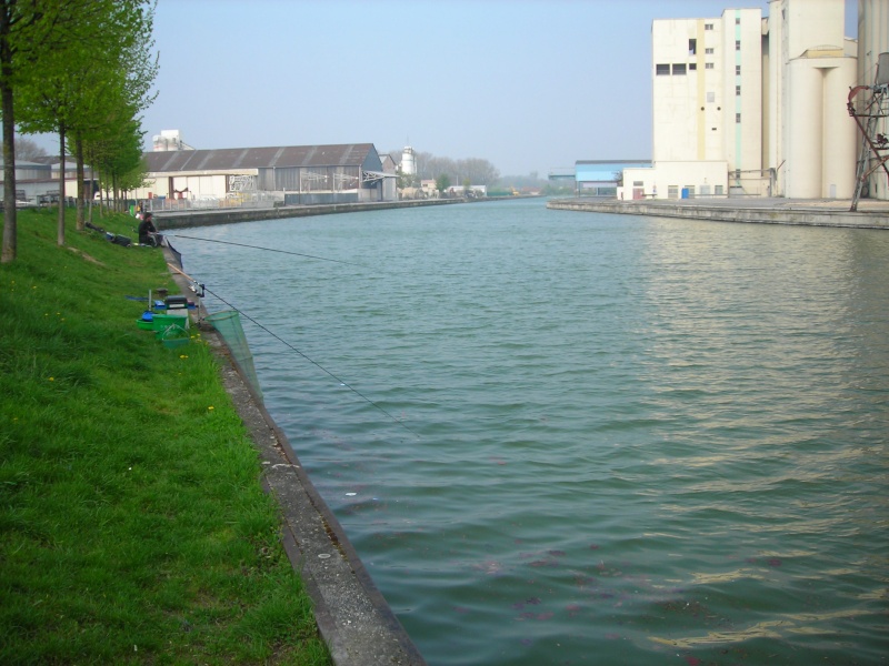 A l'anglaise au port Colbert à Reims A213