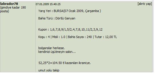 07 OCAK 2009 BURSA DÖRTLÜ GANYAN LABRADORDAN 07012014