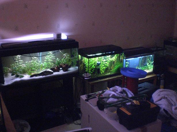 ma fishroom 25a10