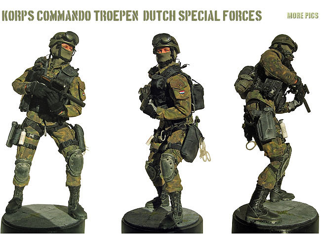 Photos des forces armées Néerlandaises Pic_9-10