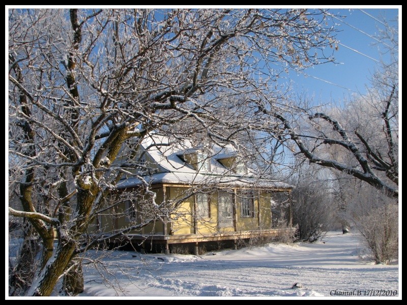 un matin de decembre serie 2 936