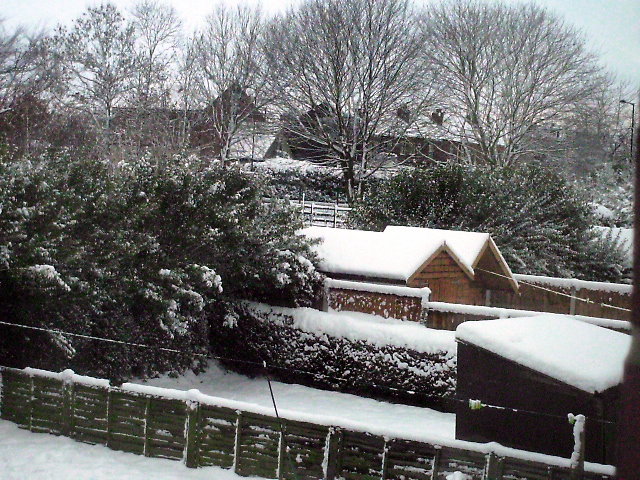 LETS SEE YOUR SNOW PICTURES  Pict0016