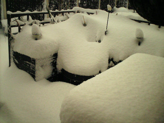LETS SEE YOUR SNOW PICTURES  Pict0020