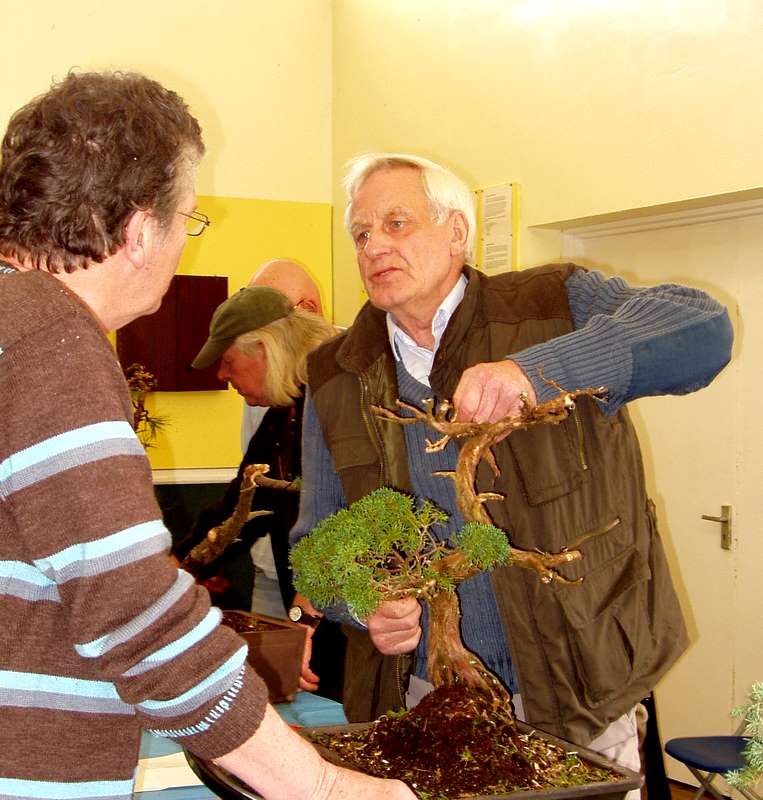 Busy bonsai weekend 04210