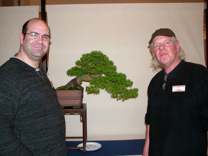 Best of British bonsai. Set-up Friday. Dscf8620