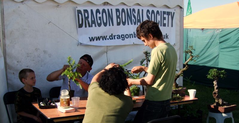 Dragon bonsai annual show set up. Dscf9112