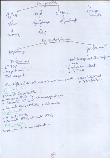 Cours et TDs (Microbiologie appliquée). - Page 8 Swscan13