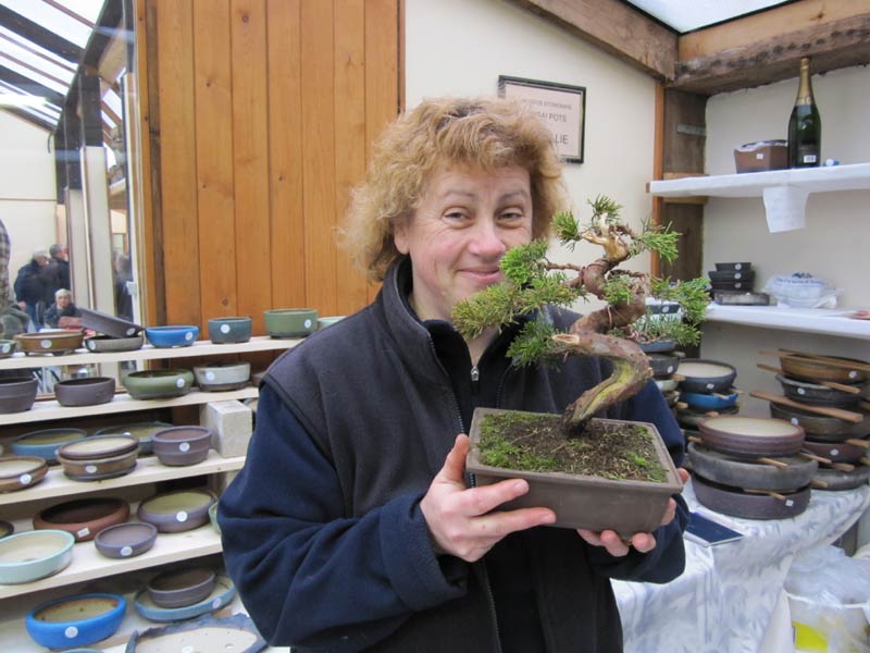 British Shohin Association First Pix and Movies Fiona-11