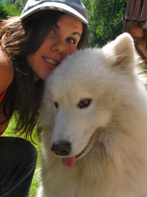 Hommage à mon samoèyede Samy. Img_1810