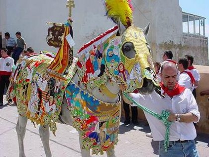 Fiesta de los caballos del vino, Caravaca de la cruz-Murcia. Caball12