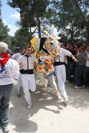 Fiesta de los caballos del vino, Caravaca de la cruz-Murcia. Carava12