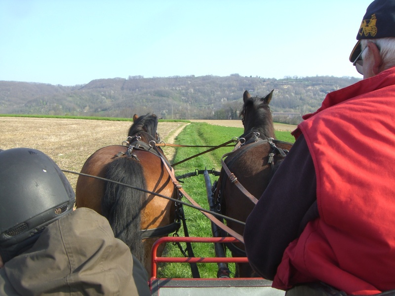 18 Avril à Cessieu attelage de loisir 04110