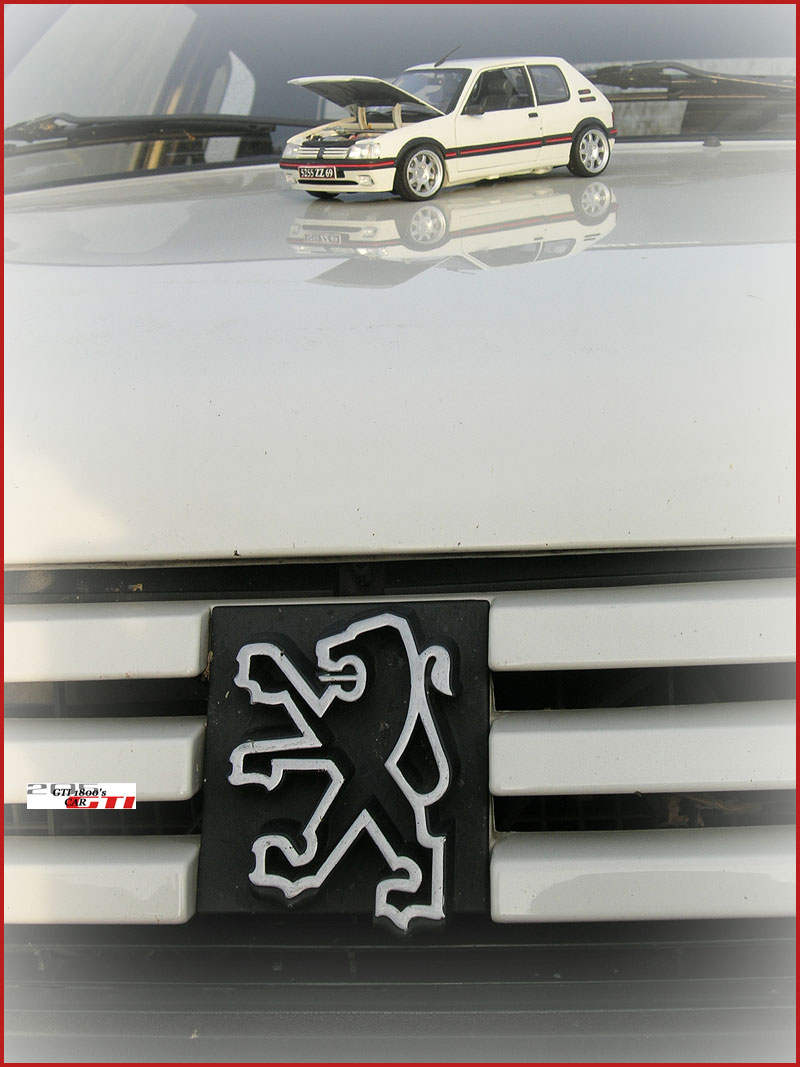 205 GTI...GRAPHITE ENFIN PROPRE.....CURE AU MEGUIA'S....P 2 Dscn9814