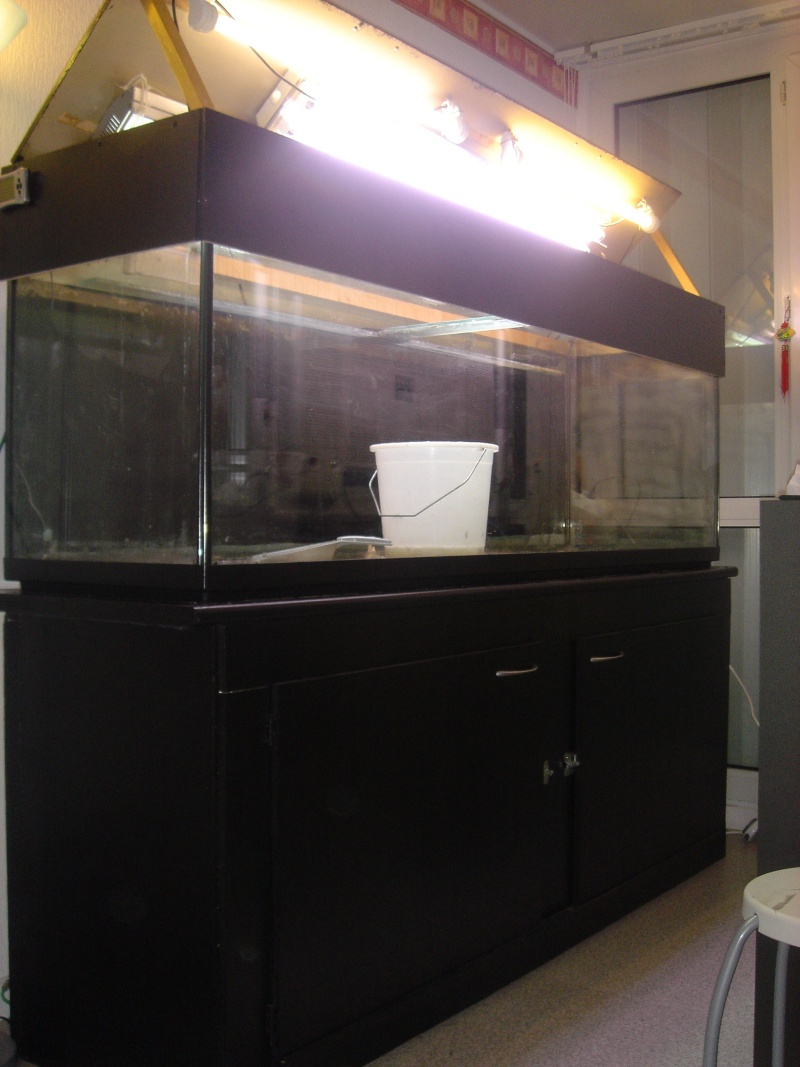 [ VENDS ] Aquarium 600 litres (200x50x60h) Dsc04112